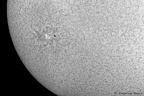 Sonne in H-alpha am 22. April 2018