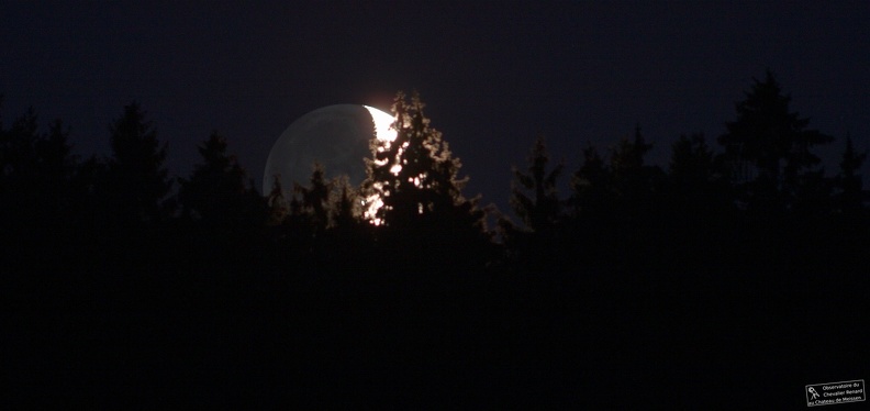 EOS 30D am 100er BORG
Berge Grosspostwitz in der Oberlausitz Mond_u_Wald-stemp.jpg