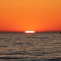 IMG_9692-stemp.JPG