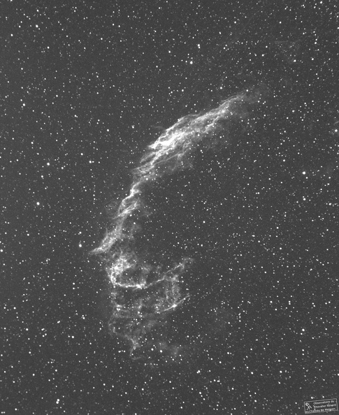 Cygnus_NGC6995_stemp.jpg