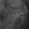 Elefantenrüssel in NGC 1396 im Cepheus auch VdB 142