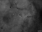 Elefantenrüssel in NGC 1396 im Cepheus auch VdB 142