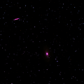 M81 und M82 im Großen Wagen