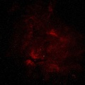 Region um gamma Cyg