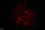 Region um gamma Cyg