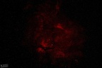 Region um gamma Cyg