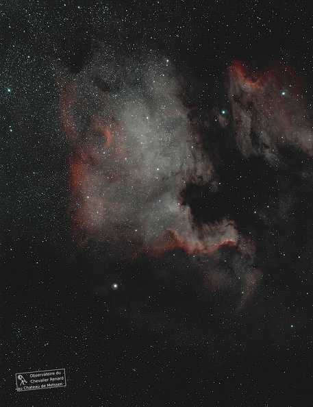 Aufnahme mit BORG 100 F4 L-extreme Filter und Sony alpha III Development mit Siril und Gimp NGC_7000_3_Juni_stemp.jpg