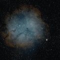 IC 1396