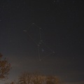 Orion