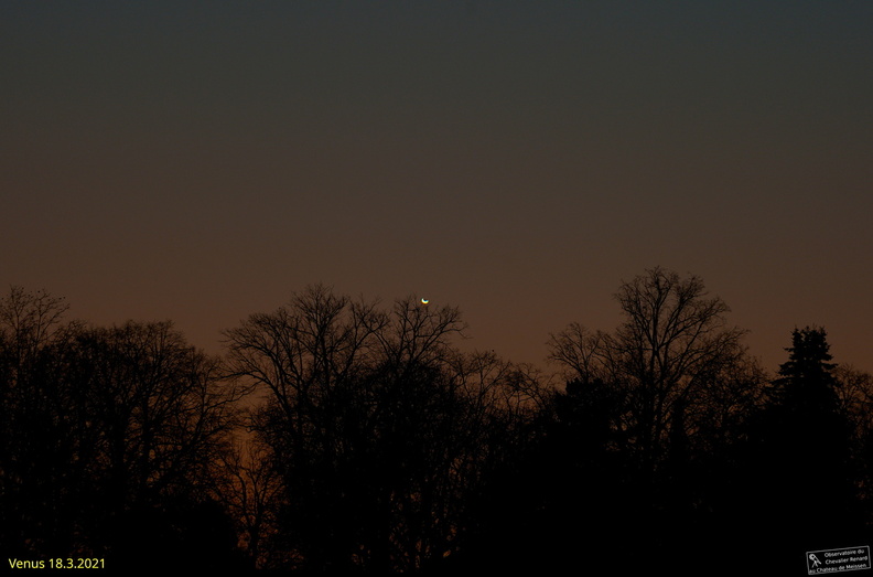 Venus_18.03.2025_v2_schrift_stemp.jpg