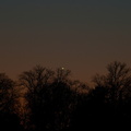 Abendstern Venus am 18.3.2021