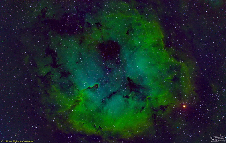 IC_1396_RGB_SII_Ha_OIII_125er_BORG_12u16.9.2023_schrift_stemp.jpg
