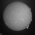 2023-24-07-24 14 24 Sonne H alpha bw stemp