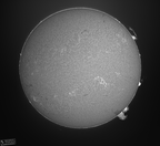 2023-24-07-24 14 24 Sonne H alpha bw stemp