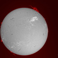 2024-05-10-1130 4-Sonne Ha 125er BORG stemp