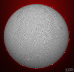 Sonne H alpha 29.Juli.2024 stemp